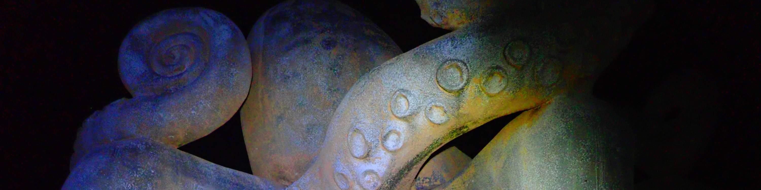 [Miyako Island/Night] Stargazing & Jungle Night Tour